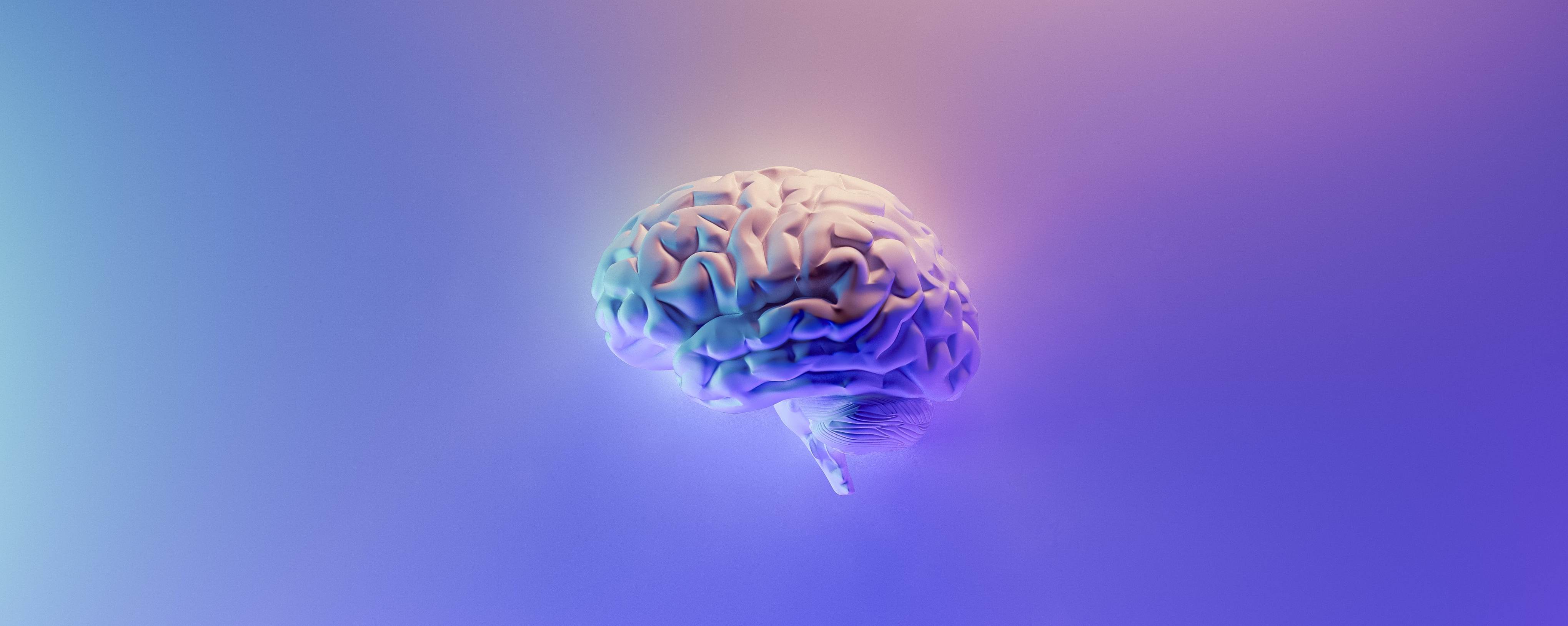 Safe Seizure: machine learning pour prédire les crises d'épilepsie /fr/theme-documentation-basics/brain.png